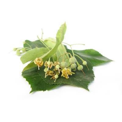 BIO Lindenblüten (15 g)