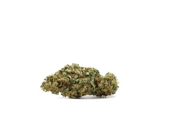 Northern Lights CBD INDOOR Hanfblüten