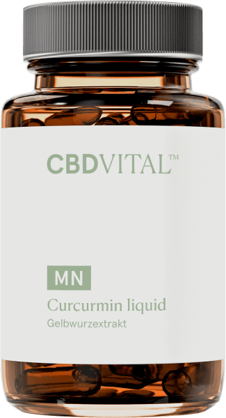 CBD-Vital CURCUMIN liquid - flüssig (60 Kapseln)