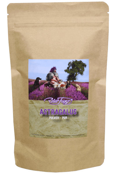 Astragalus Pulver -PUR- 100g (Robert Franz)