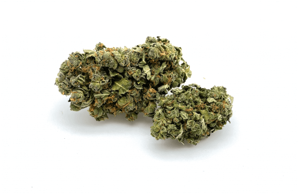 FRIEDA CBD INDOOR Hanfblüten