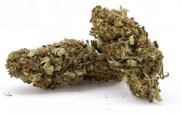 SEPP CBD INDOOR Hanfblüten