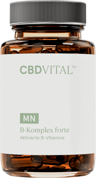 CBD-Vital B-Komplex forte (60 Kapseln)